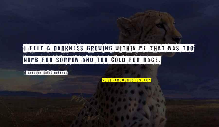 Alone In Hard Times Quotes By Gregory David Roberts: I felt a darkness growing within me that