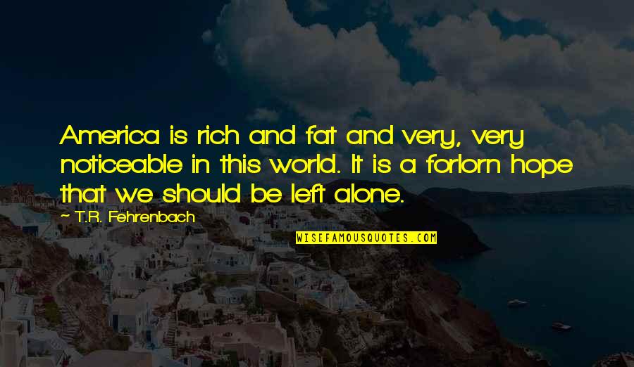 Alone In This World Quotes By T.R. Fehrenbach: America is rich and fat and very, very