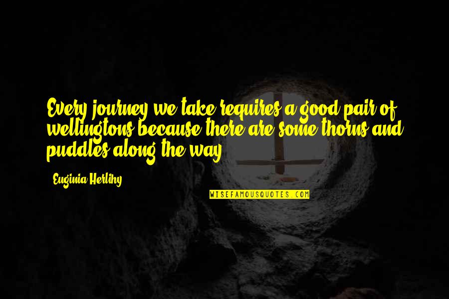 Along The Journey Quotes By Euginia Herlihy: Every journey we take requires a good pair