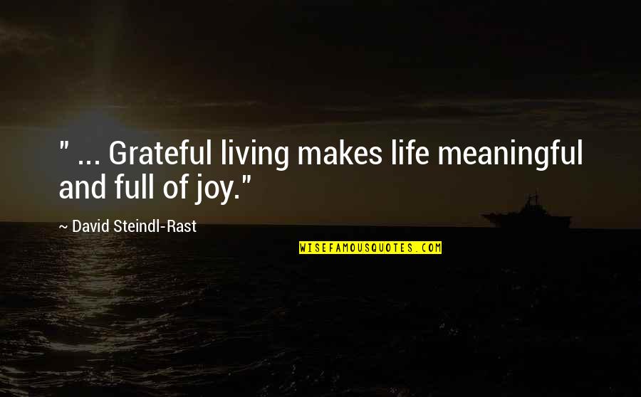 Alotta Fagina Quotes By David Steindl-Rast: " ... Grateful living makes life meaningful and