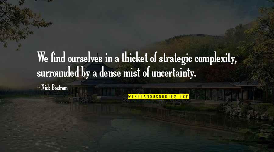 Alpenland Lethbridge Quotes By Nick Bostrom: We find ourselves in a thicket of strategic Alpenland Lethbridge Quotes By Nick Bostrom: We find ourselves in a thicket of strategic