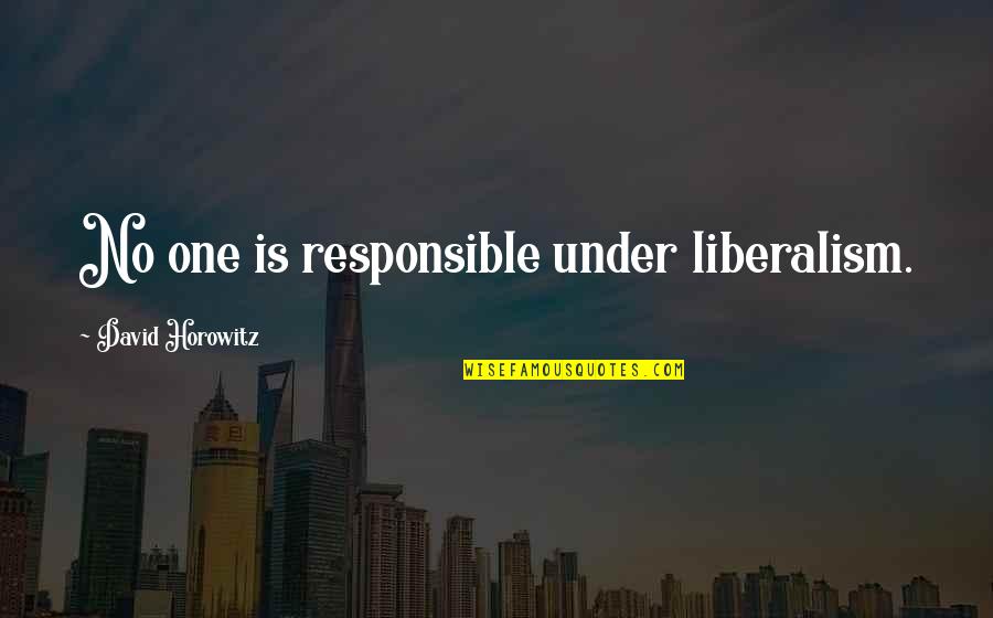 Alpha Male Love Quotes By David Horowitz: No one is responsible under liberalism.