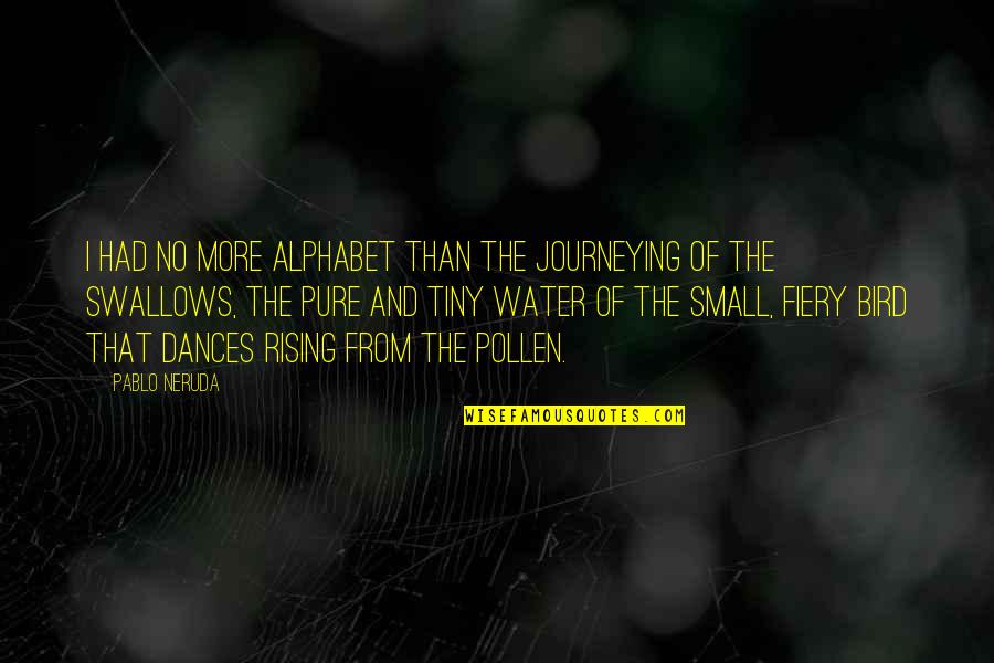 Alphabet Quotes By Pablo Neruda: I had no more alphabet than the journeying