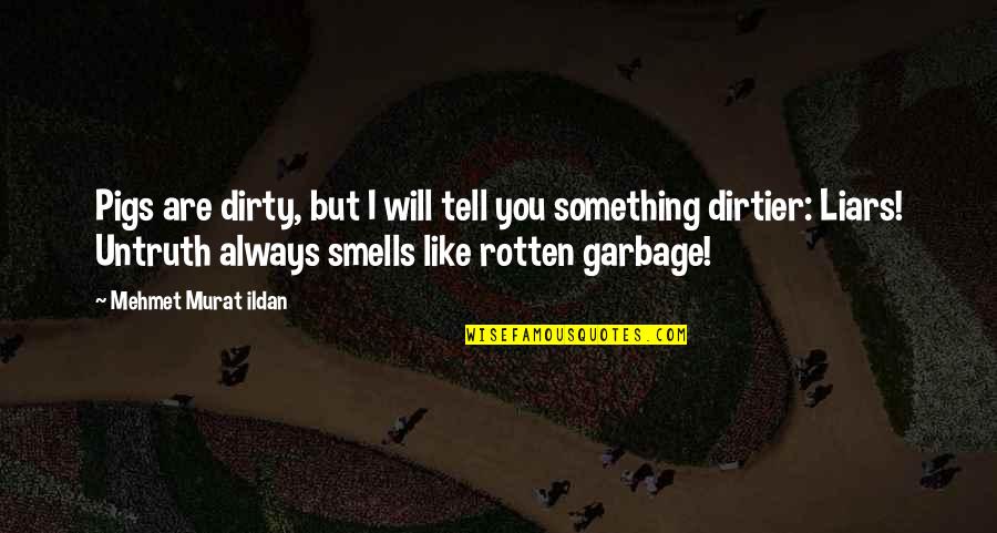 Alphabetization Tool Quotes By Mehmet Murat Ildan: Pigs are dirty, but I will tell you