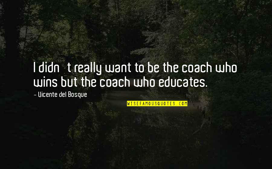 Alphinland Quotes By Vicente Del Bosque: I didn't really want to be the coach