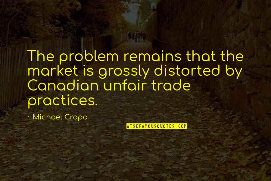 Alrad Instruments Quotes By Michael Crapo: The problem remains that the market is grossly