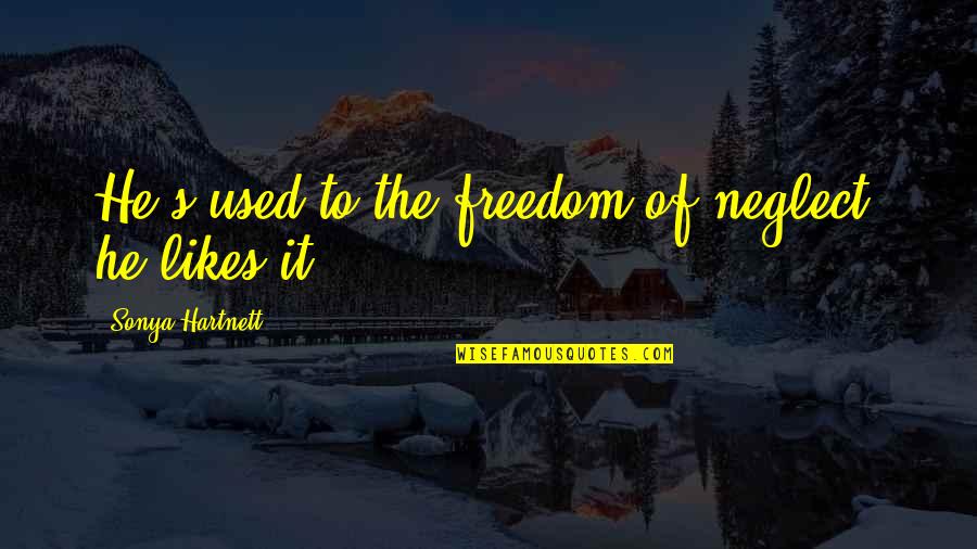 Alrededores En Quotes By Sonya Hartnett: He's used to the freedom of neglect; he Alrededores En Quotes By Sonya Hartnett: He's used to the freedom of neglect; he