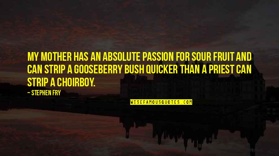 Alrekr Quotes By Stephen Fry: My mother has an absolute passion for sour