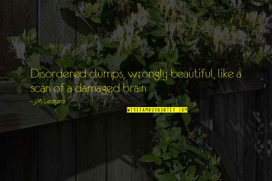 Alsacien Stew Quotes By J.M. Ledgard: Disordered clumps, wrongly beautiful, like a scan of
