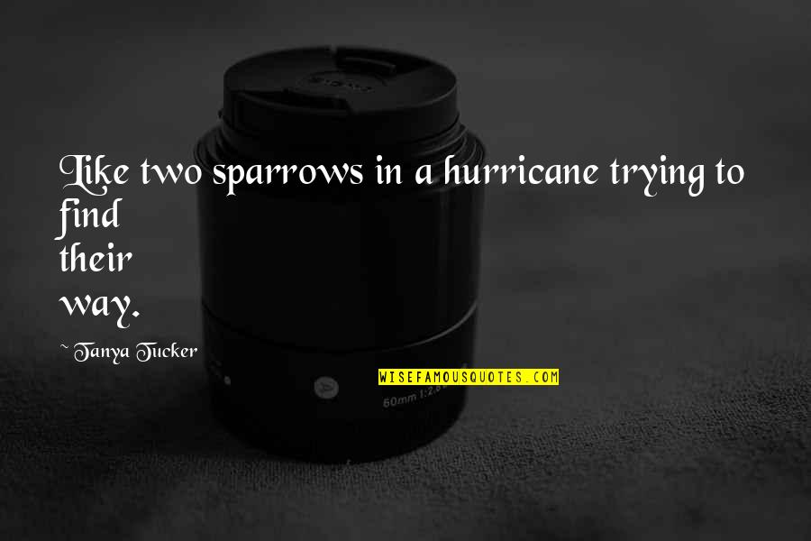Alsehood Quotes By Tanya Tucker: Like two sparrows in a hurricane trying to