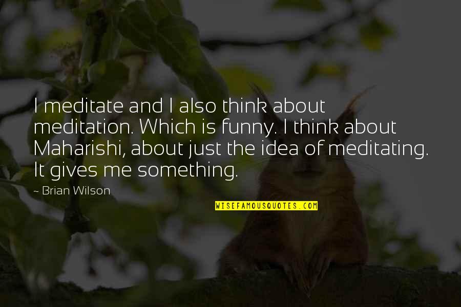 Also Me Quotes By Brian Wilson: I meditate and I also think about meditation.