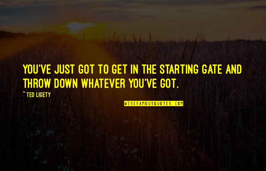 Alstyne Isd Quotes By Ted Ligety: You've just got to get in the starting