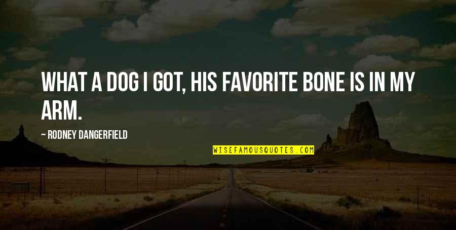 Alsways Quotes By Rodney Dangerfield: What a dog I got, his favorite bone