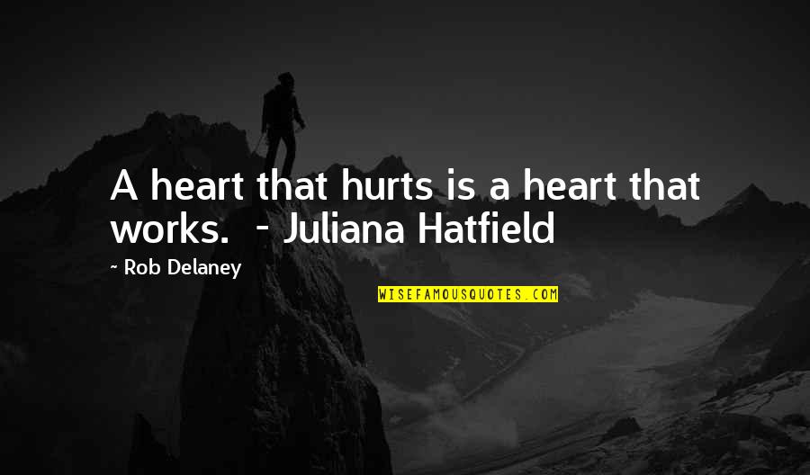 Altalena Quotes By Rob Delaney: A heart that hurts is a heart that