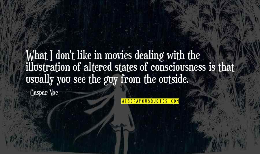 Altered States Of Consciousness Quotes By Gaspar Noe: What I don't like in movies dealing with