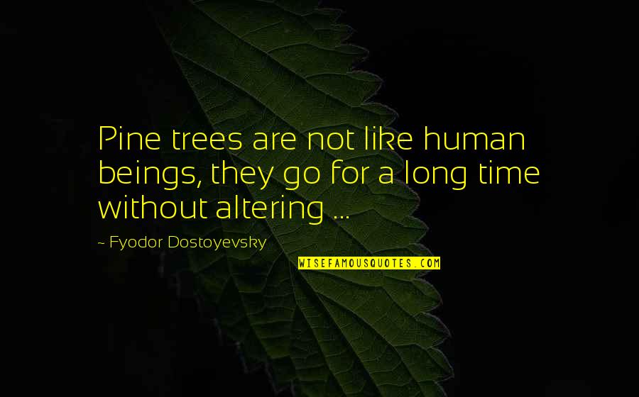 Altering Quotes By Fyodor Dostoyevsky: Pine trees are not like human beings, they