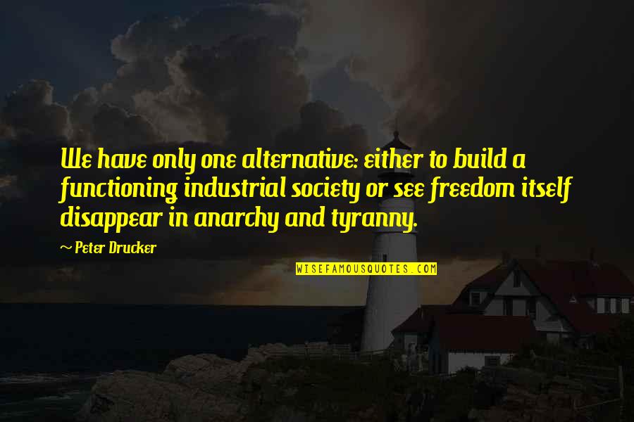 Alternatives Quotes By Peter Drucker: We have only one alternative: either to build