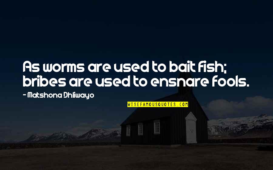 Altforalle Quotes By Matshona Dhliwayo: As worms are used to bait fish; bribes