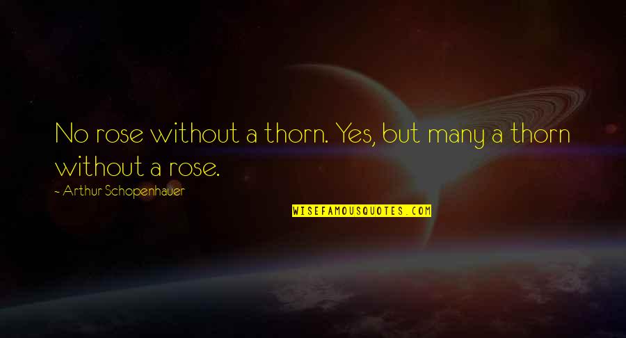 Altimaris Quotes By Arthur Schopenhauer: No rose without a thorn. Yes, but many