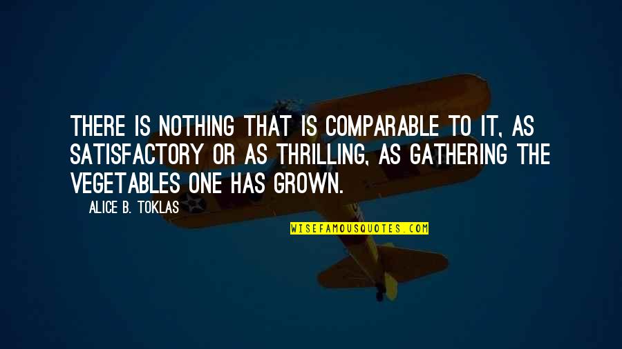 Altinn Quotes By Alice B. Toklas: There is nothing that is comparable to it, Altinn Quotes By Alice B. Toklas: There is nothing that is comparable to it,