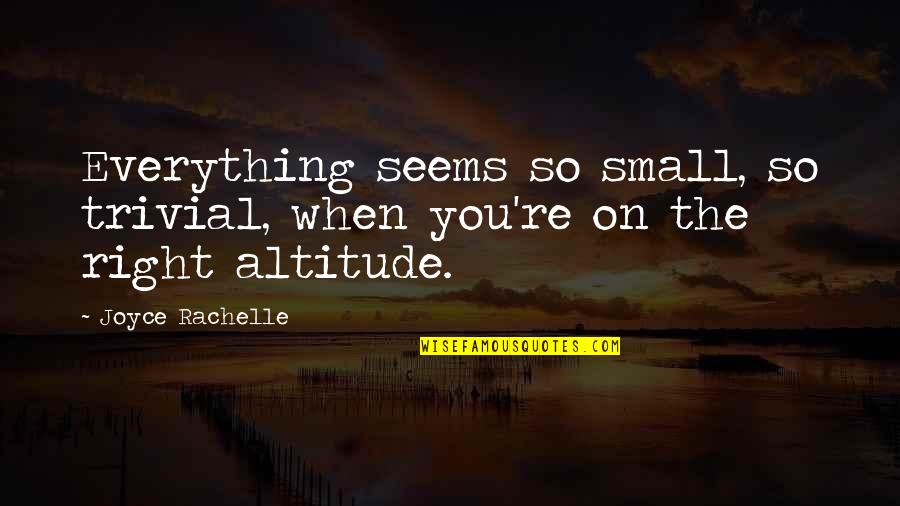 Altitude Quotes By Joyce Rachelle: Everything seems so small, so trivial, when you're
