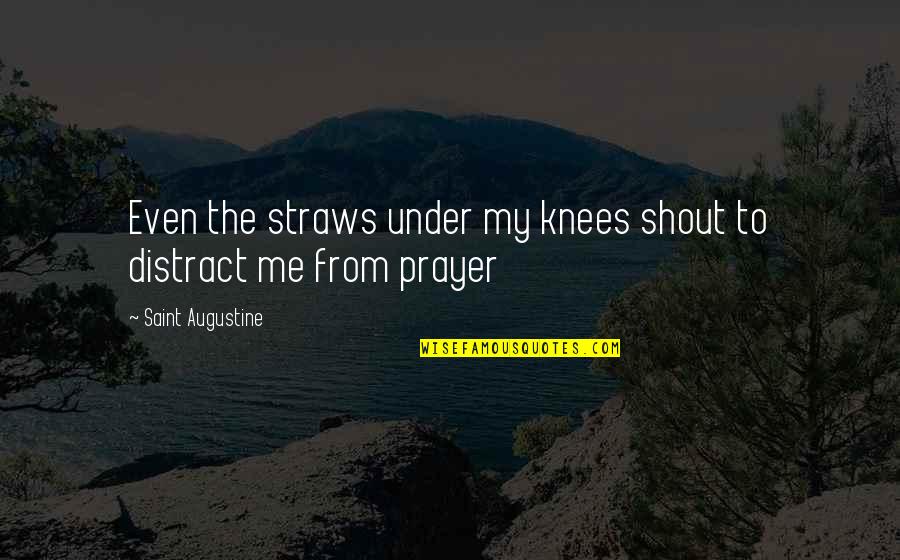 Alto Sax Quotes By Saint Augustine: Even the straws under my knees shout to