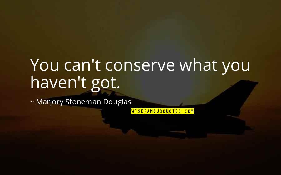 Altro Quotes By Marjory Stoneman Douglas: You can't conserve what you haven't got. Altro Quotes By Marjory Stoneman Douglas: You can't conserve what you haven't got.