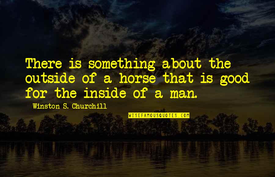 Alucard Ova Quotes By Winston S. Churchill: There is something about the outside of a