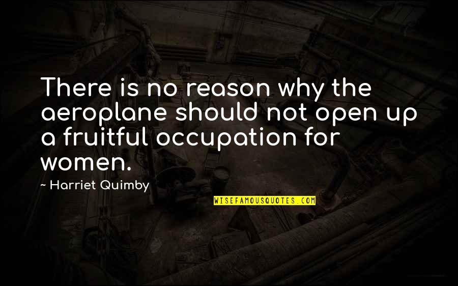 Aluisio Junior Quotes By Harriet Quimby: There is no reason why the aeroplane should Aluisio Junior Quotes By Harriet Quimby: There is no reason why the aeroplane should
