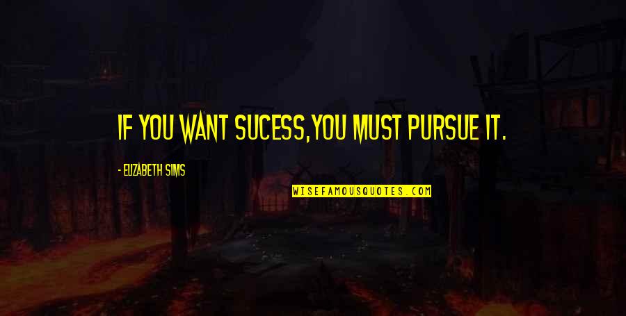 Alumnus Define Quotes By Elizabeth Sims: If you want sucess,you must pursue it.