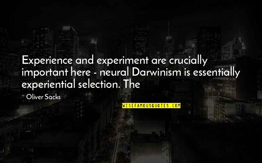 Alutsista Ada Quotes By Oliver Sacks: Experience and experiment are crucially important here - Alutsista Ada Quotes By Oliver Sacks: Experience and experiment are crucially important here -