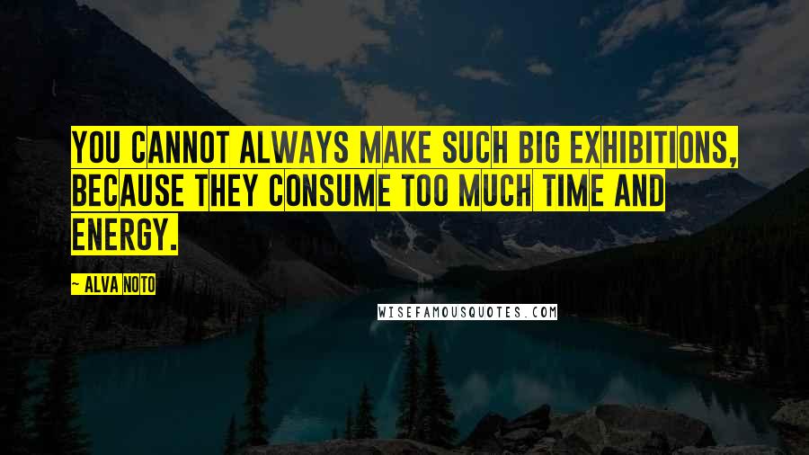 Alva Noto quotes: You cannot always make such big exhibitions, because they consume too much time and energy.