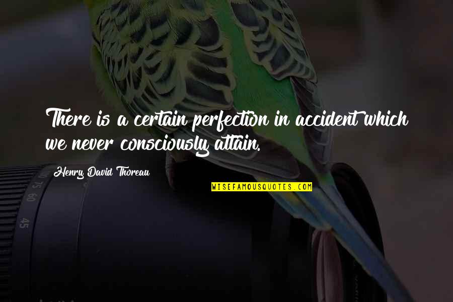 Alvarito Rojas Quotes By Henry David Thoreau: There is a certain perfection in accident which