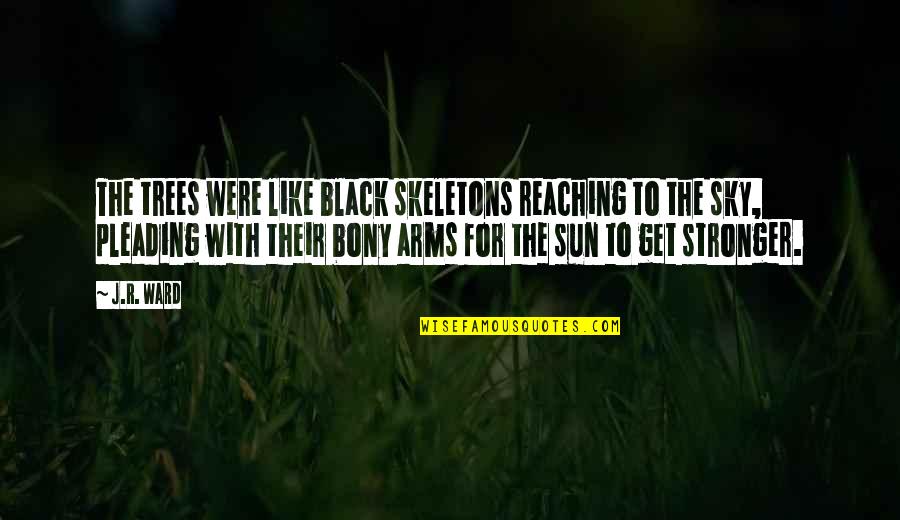 Alveary Quotes By J.R. Ward: The trees were like black skeletons reaching to Alveary Quotes By J.R. Ward: The trees were like black skeletons reaching to