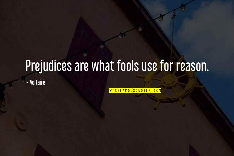Alves Redol Quotes By Voltaire: Prejudices are what fools use for reason.