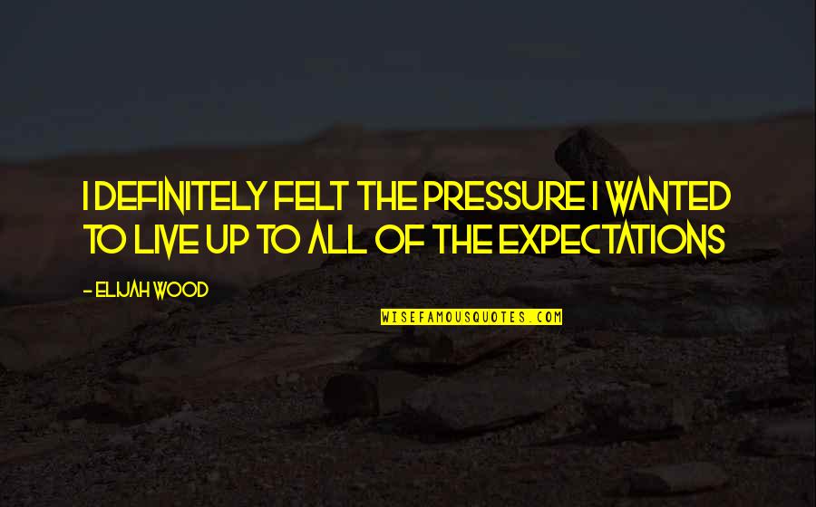 Alvestad Law Quotes By Elijah Wood: I definitely felt the pressure I wanted to