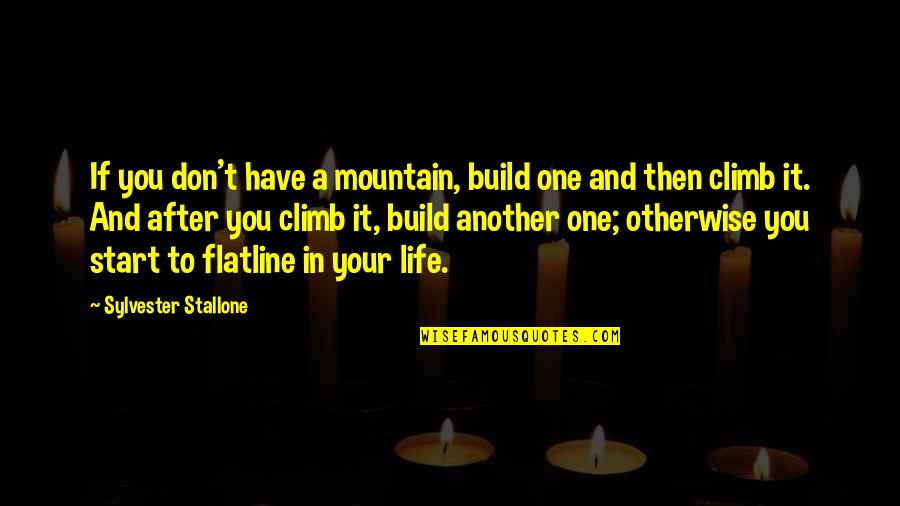 Alvida Dost Quotes By Sylvester Stallone: If you don't have a mountain, build one