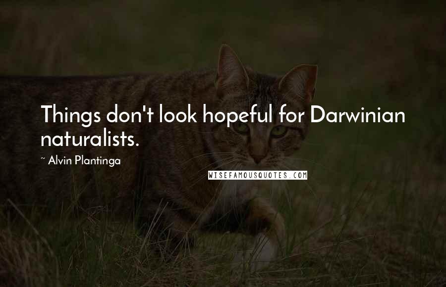 Alvin Plantinga quotes: Things don't look hopeful for Darwinian naturalists.