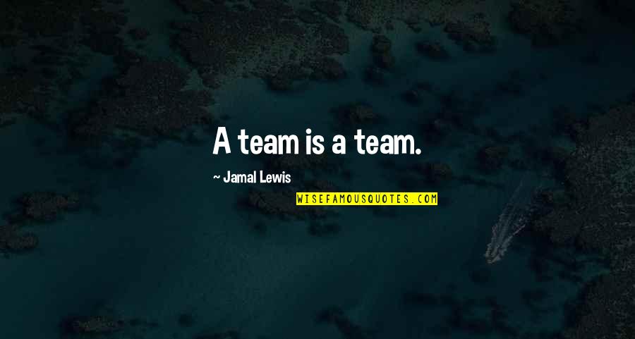 Alwaleed And George Quotes By Jamal Lewis: A team is a team.