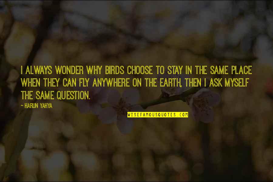 Always Ask Why Quotes By Harun Yahya: I always wonder why birds choose to stay