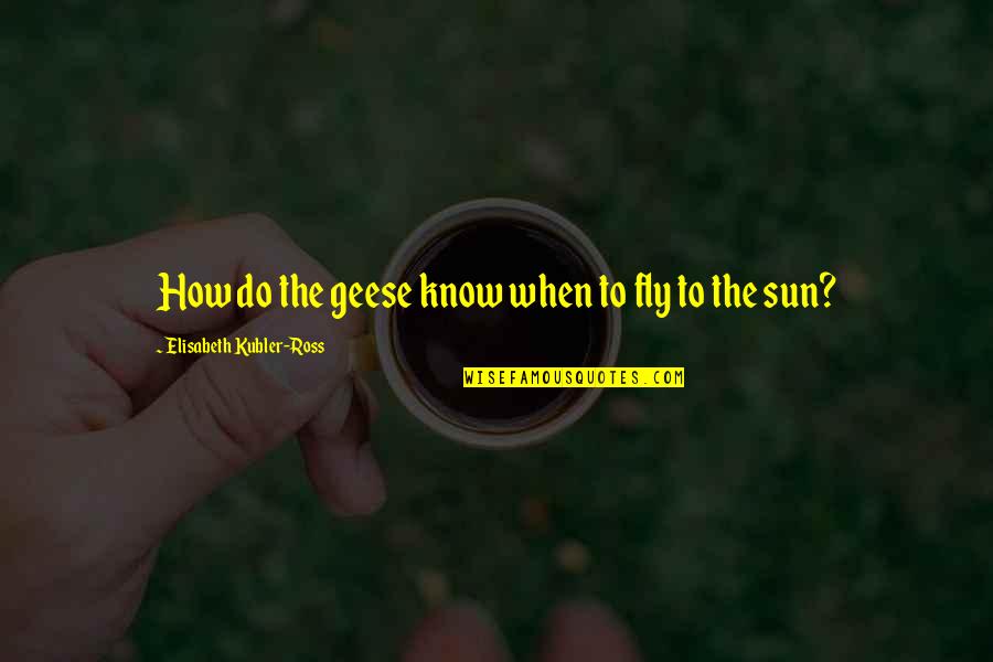 Always Being There For Him Quotes By Elisabeth Kubler-Ross: How do the geese know when to fly