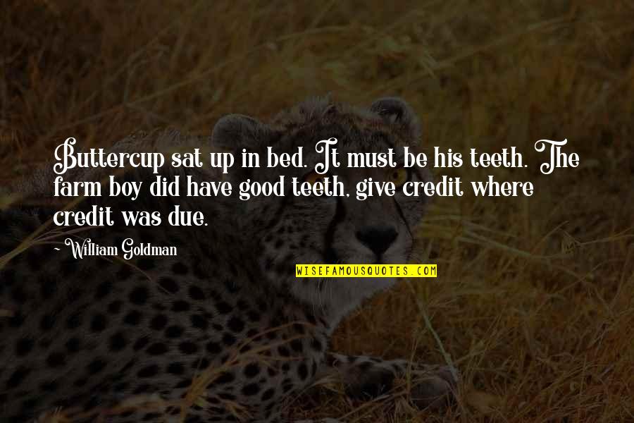 Always Come Back Home Quotes By William Goldman: Buttercup sat up in bed. It must be