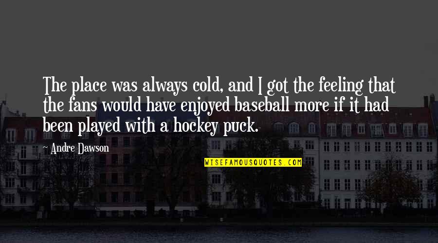 Always Have Feelings Quotes By Andre Dawson: The place was always cold, and I got