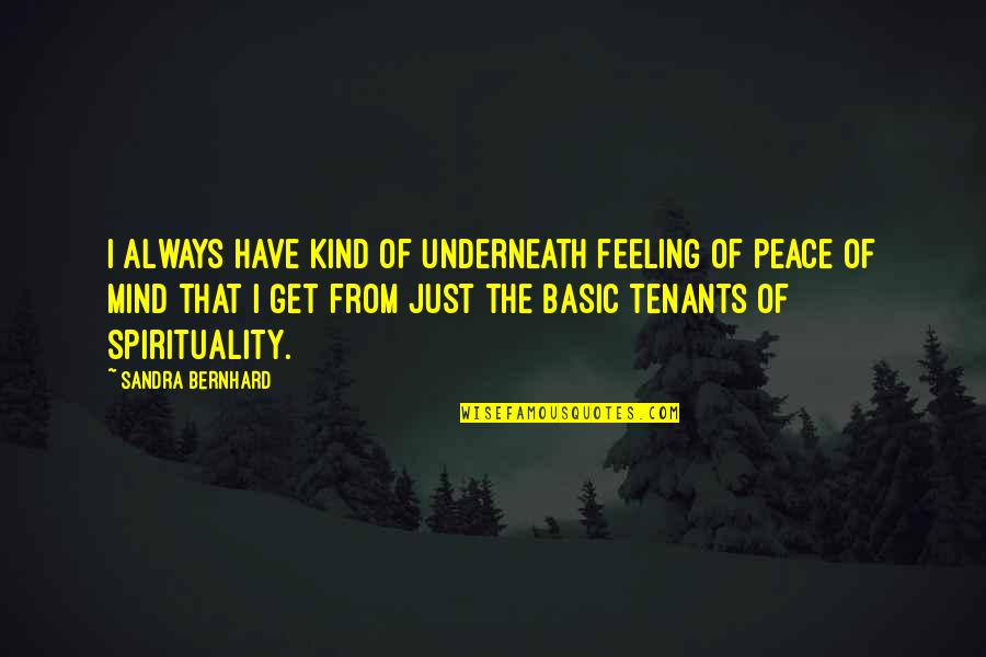 Always Have Feelings Quotes By Sandra Bernhard: I always have kind of underneath feeling of