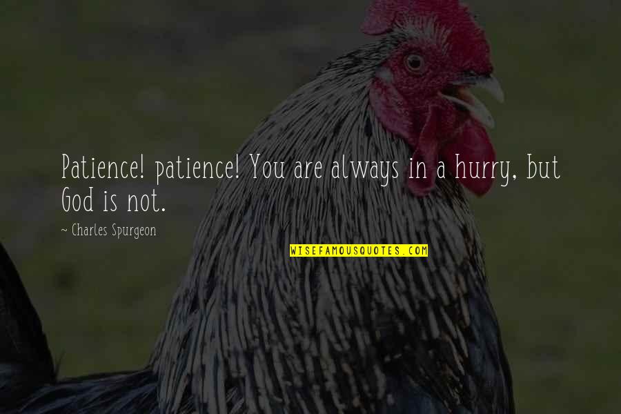 Always In A Hurry Quotes By Charles Spurgeon: Patience! patience! You are always in a hurry,