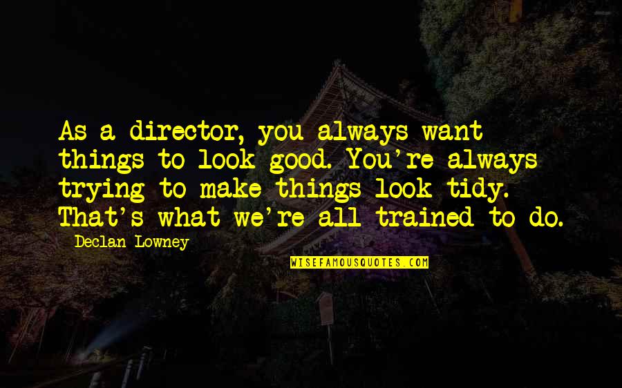 Always Look Good Quotes By Declan Lowney: As a director, you always want things to