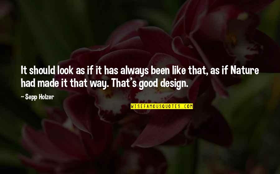 Always Look Good Quotes By Sepp Holzer: It should look as if it has always