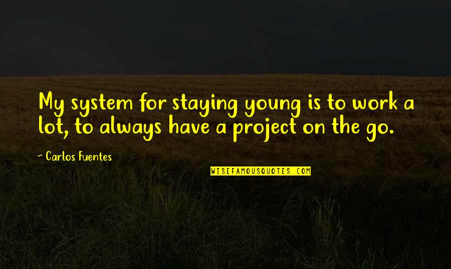 Always On The Go Quotes By Carlos Fuentes: My system for staying young is to work