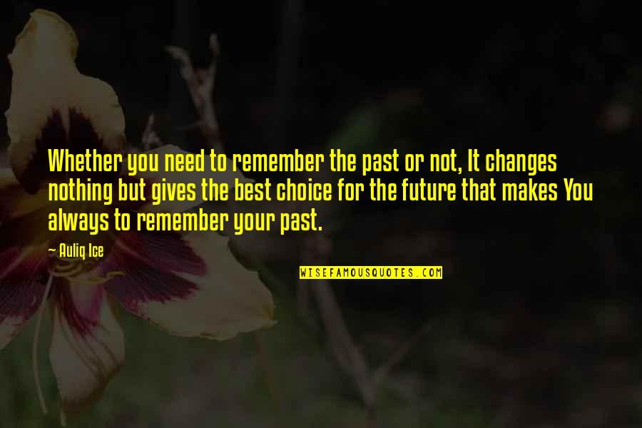 Always Remember The Past Quotes By Auliq Ice: Whether you need to remember the past or