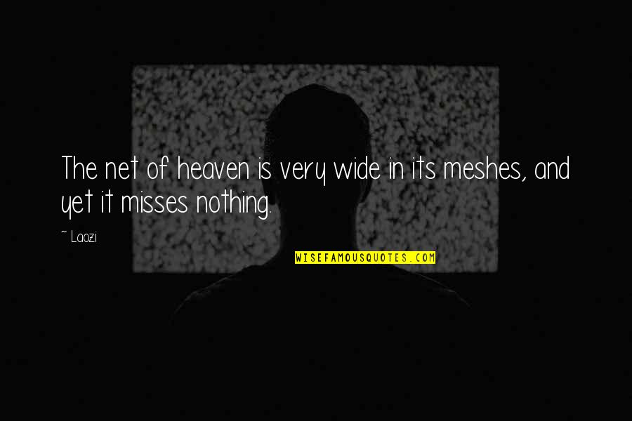 Always Remembered Never Forgotten Quotes By Laozi: The net of heaven is very wide in